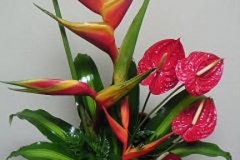 tropical-flower-arrangement-3